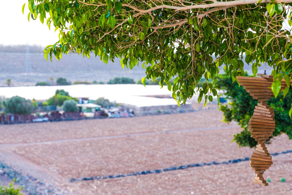 5 Hidden gems near El Doctoral – Discover authentic Gran Canaria